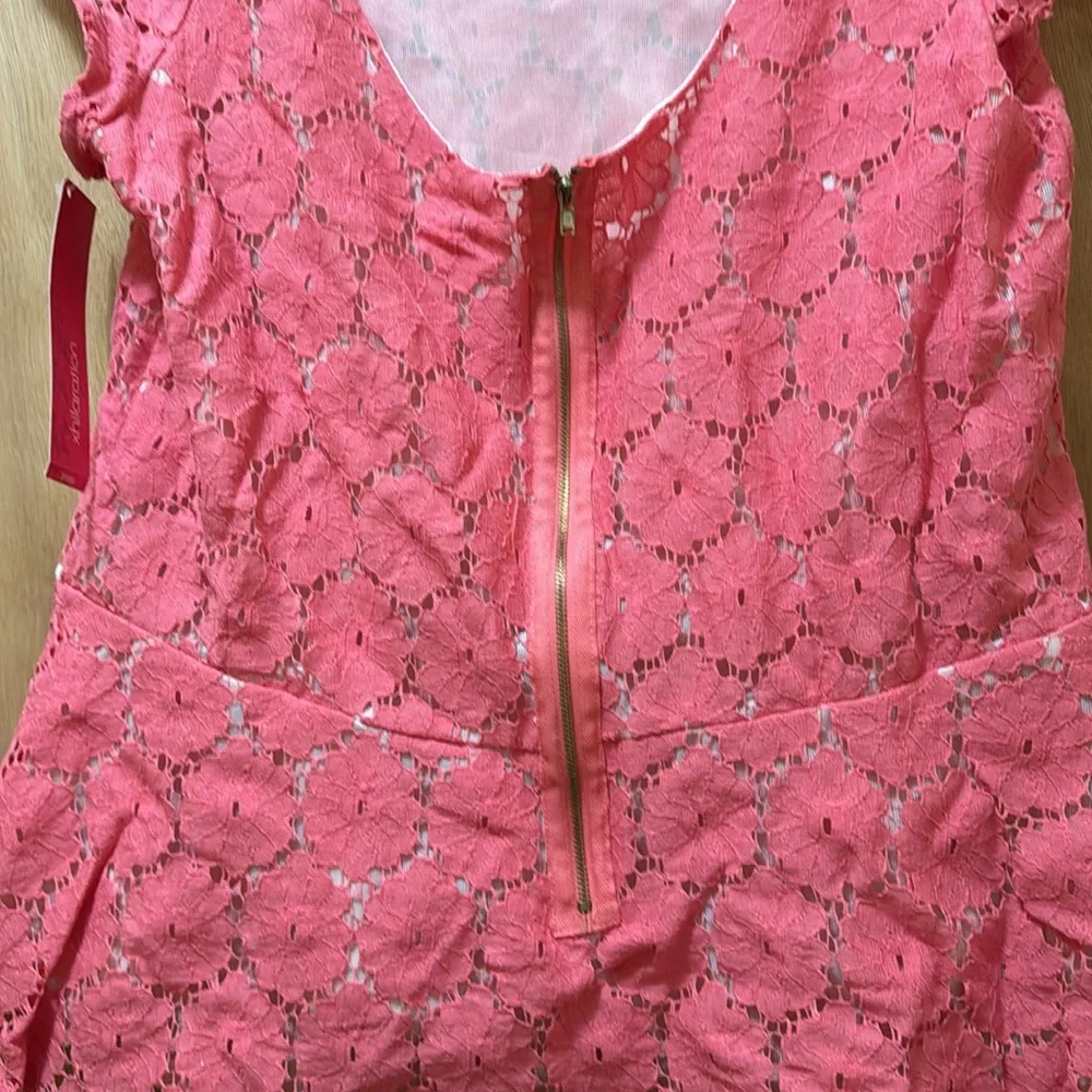 NWT Coral, lace peplum cap sleeve top - Picture 3 of 5